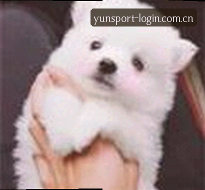 刘洋